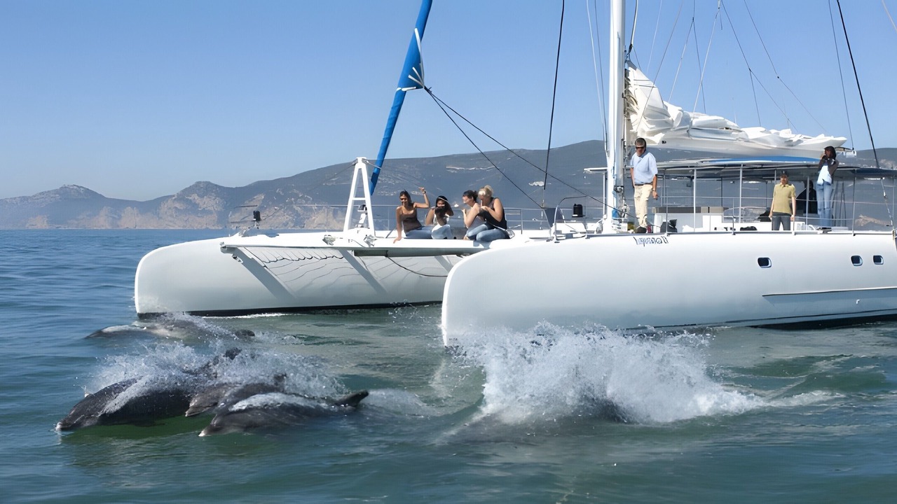 Photo of Others in Troia