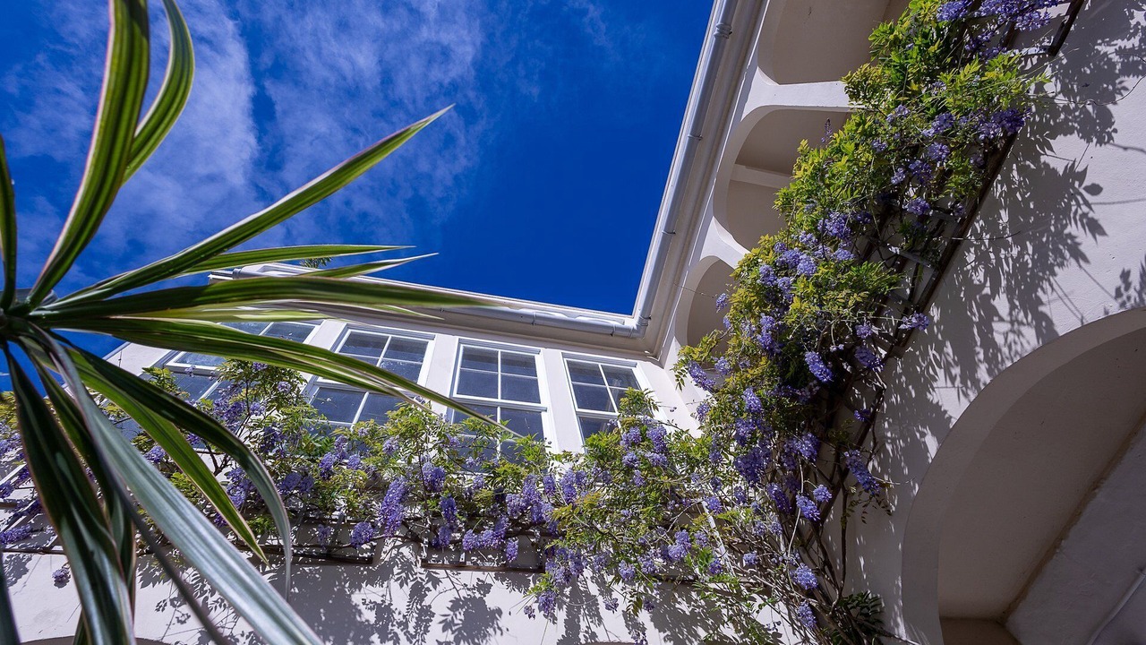 Photo of Outdoor in Horta
