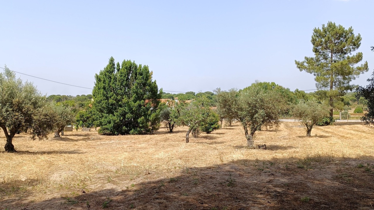Photo of Others in Coruche