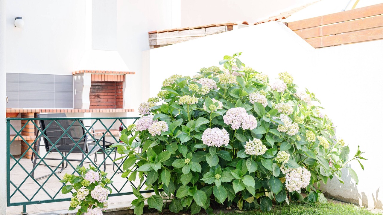 Photo of Patio Balcony in Peniche