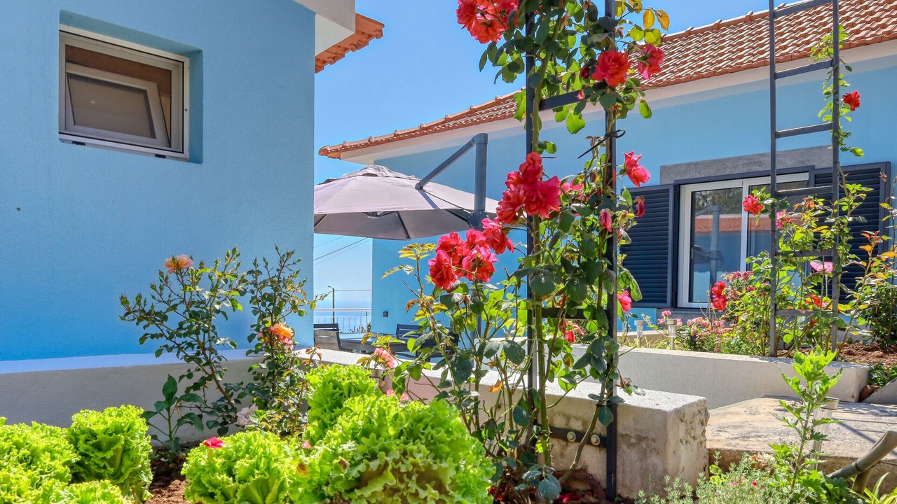 Photo of Outdoor in Canhas