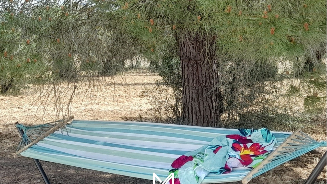 Photo of Outdoor in Vimieiro