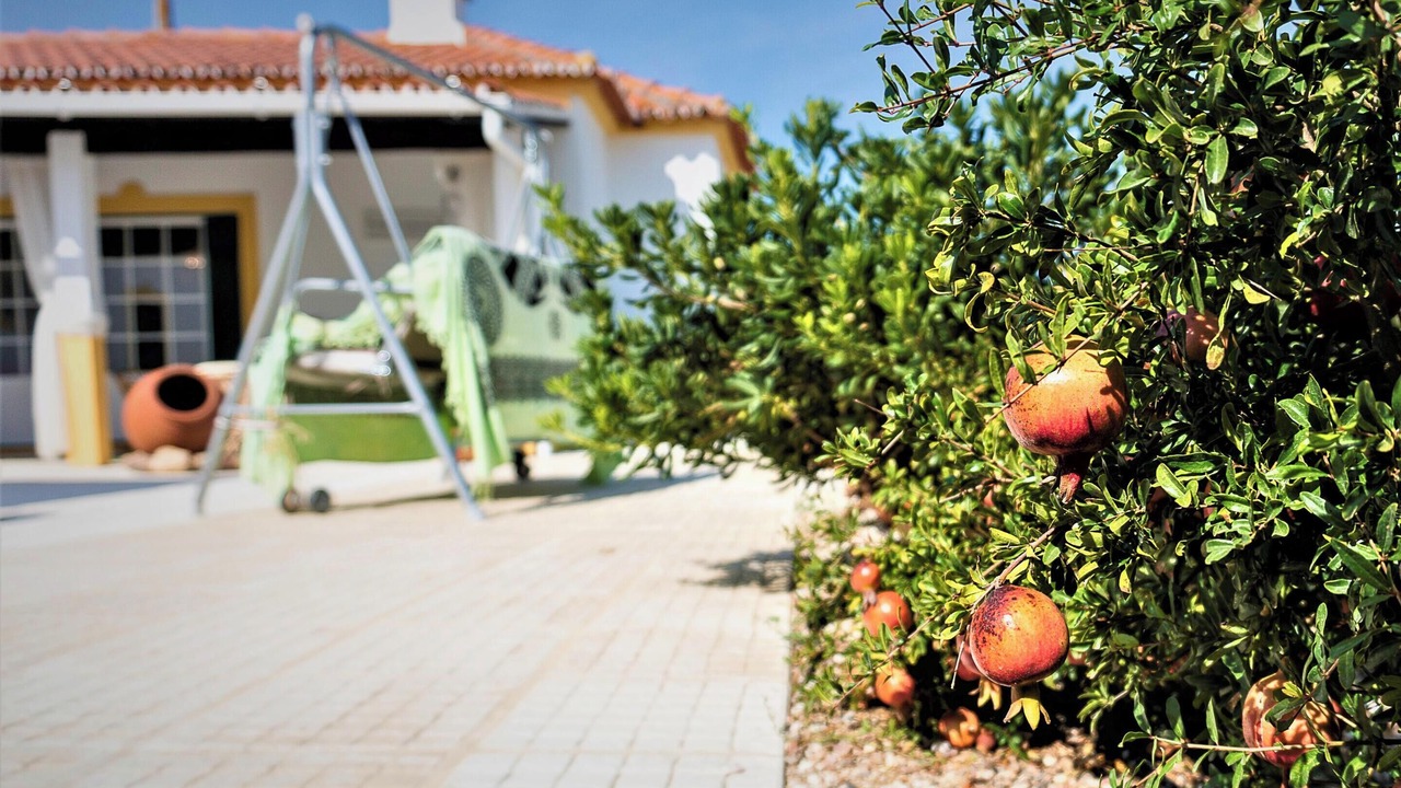 Photo of Outdoor in Vimieiro
