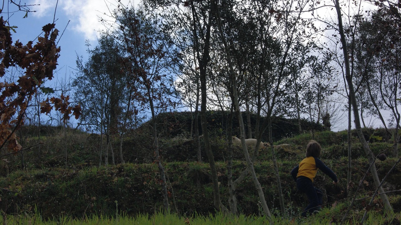 Photo of Outdoor in Molares
