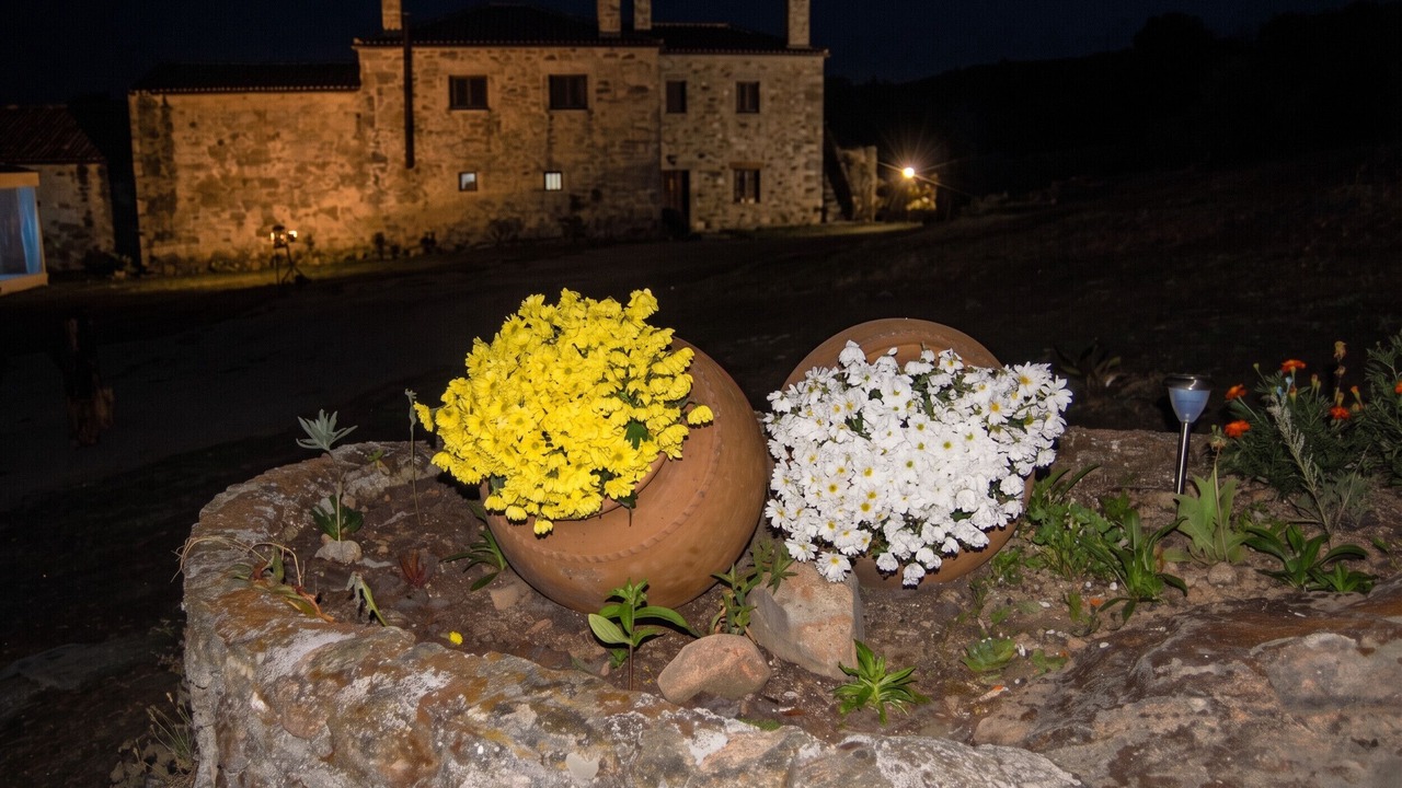 Photo of Others in Guarda