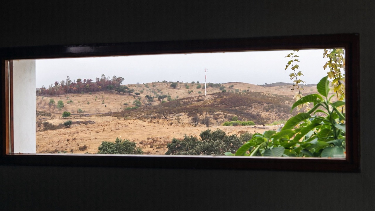 Photo of Others in Junqueira
