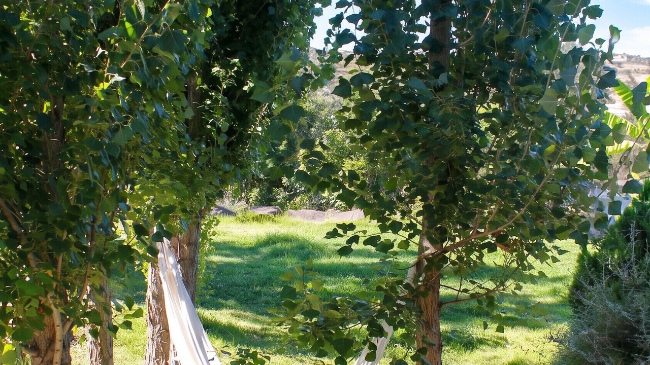 Photo of Outdoor in Junqueira