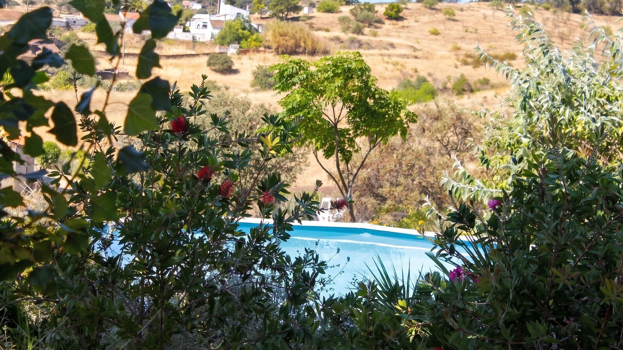 Photo of Outdoor in Junqueira