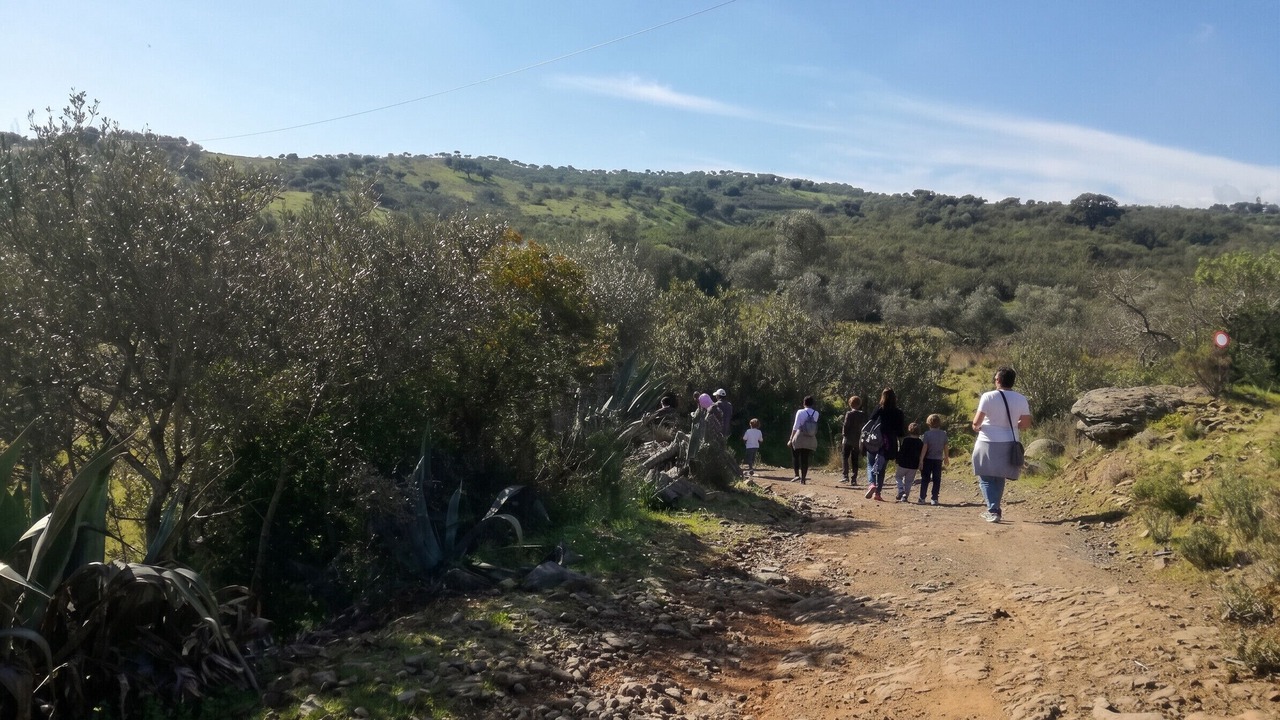Photo of Others in Junqueira