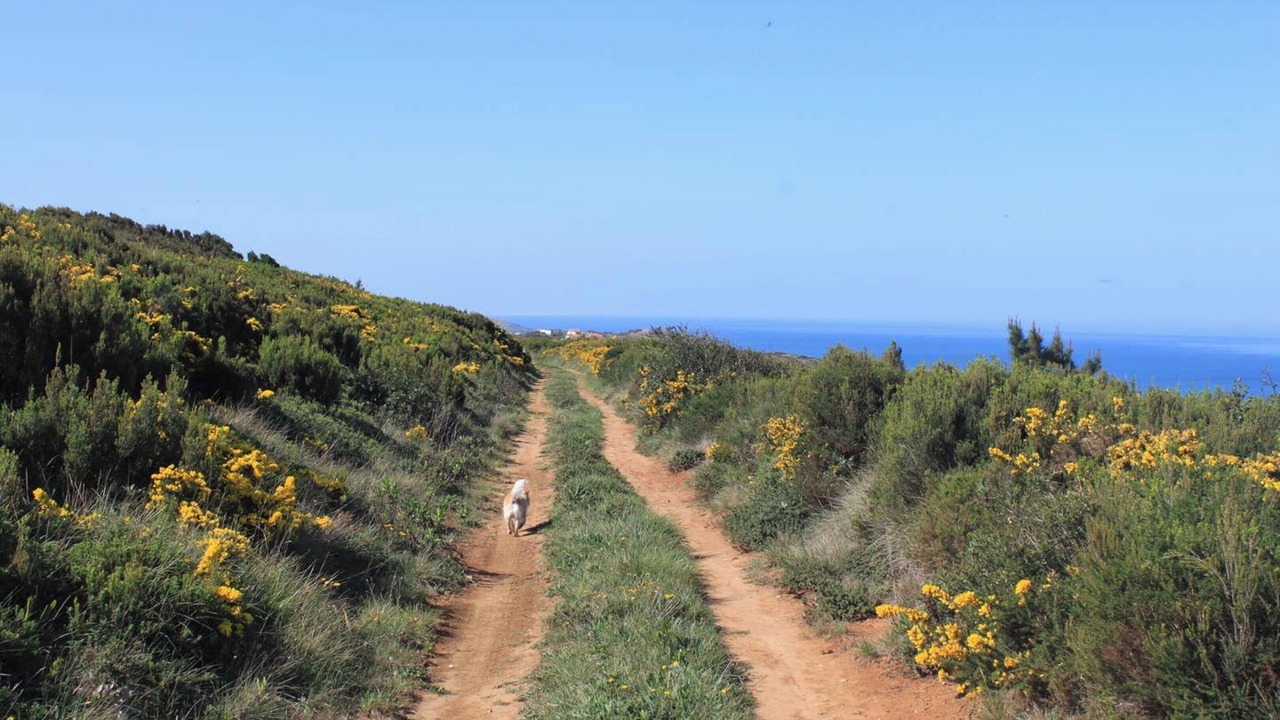 Photo of Others in Serra da Pescaria