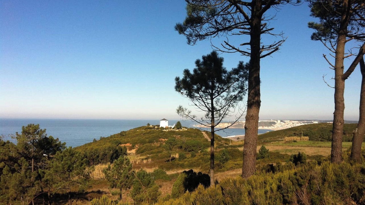 Photo of Others in Serra da Pescaria