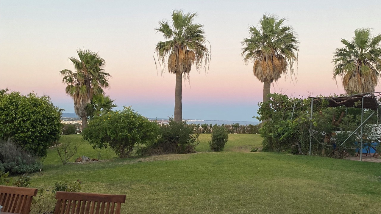 Photo of Outdoor in Patio