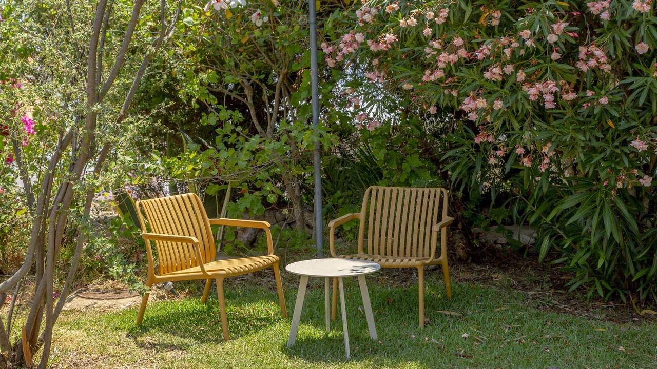 Photo of Others in Patio