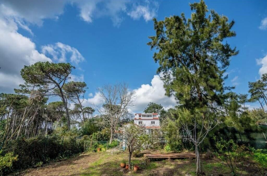 Photo of Outdoor in Fontanelas