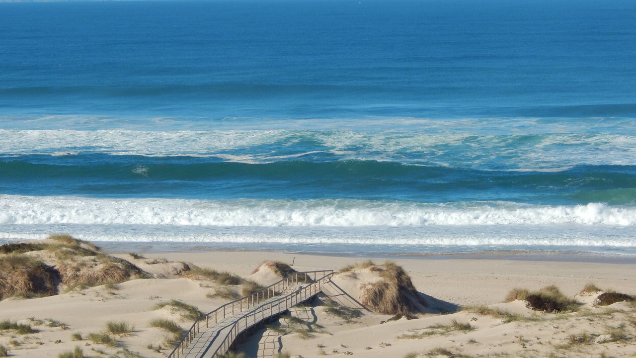 Photo of Others in Praia del Rei