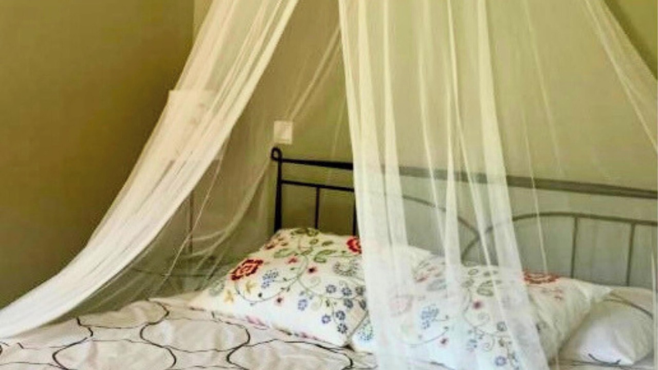 Photo of Bedroom in Cossourado