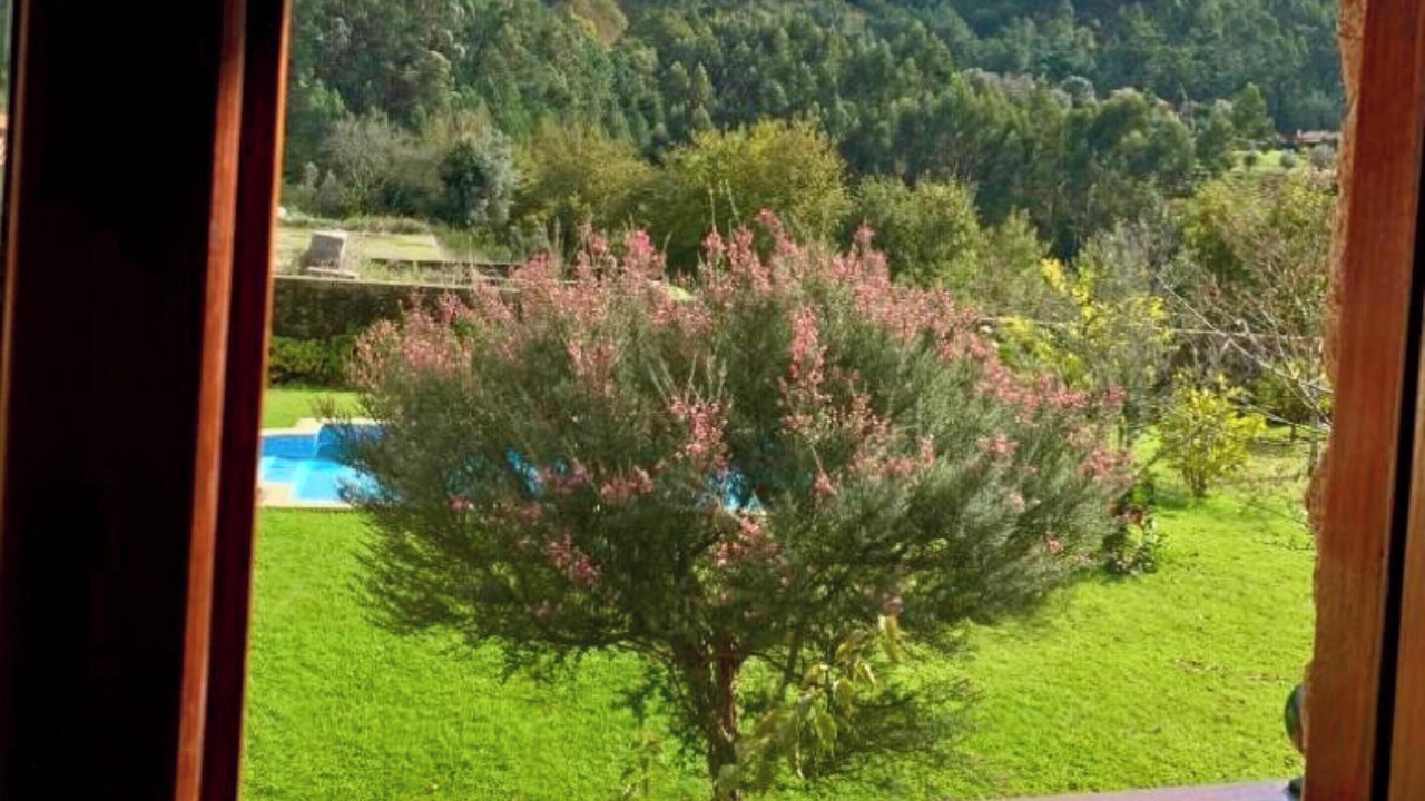 Photo of Others in Cossourado