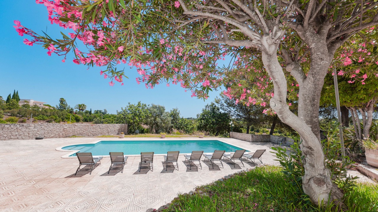 Photo of Outdoor in Lagoa e Carvoeiro