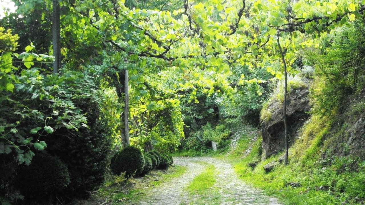 Photo of Outdoor in Portela de Santa Eulalia
