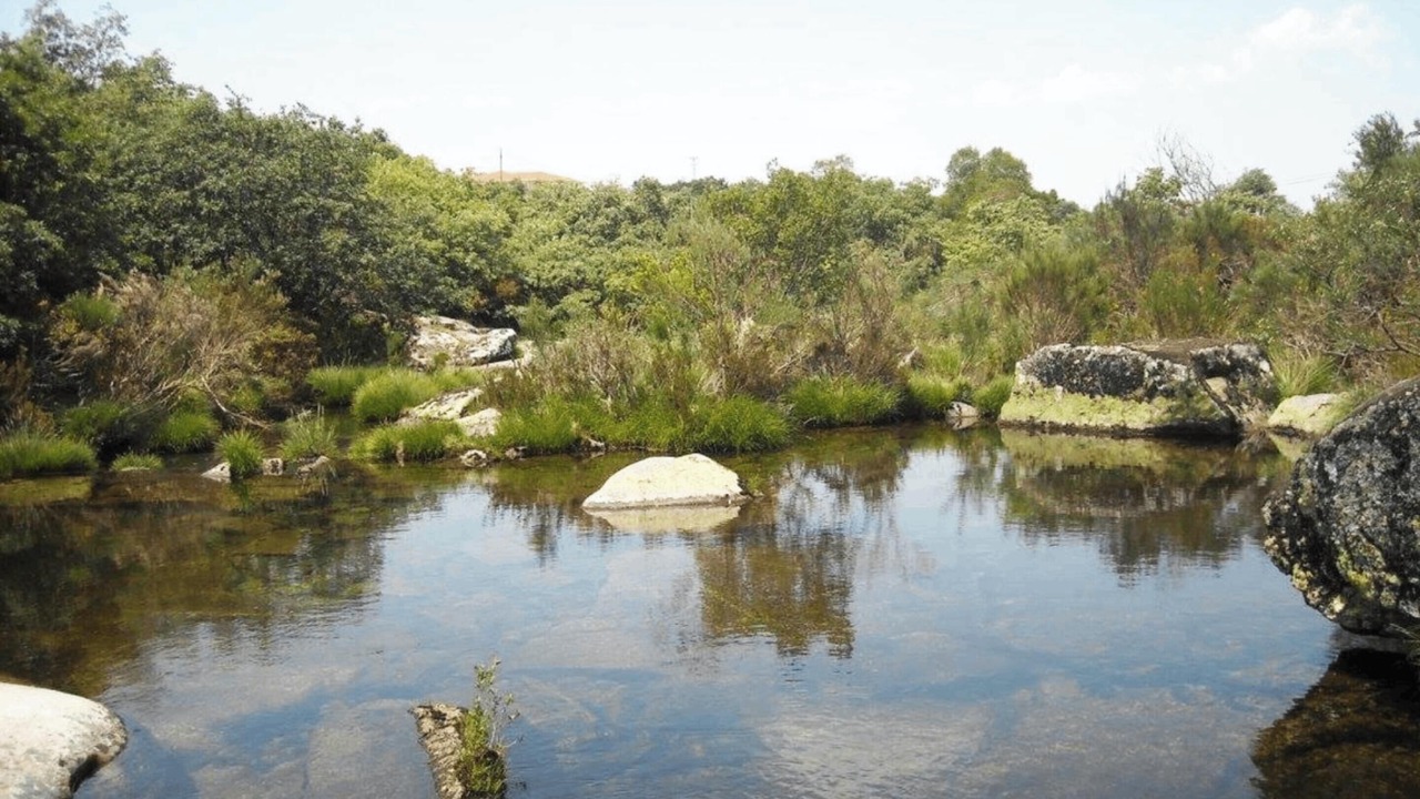 Photo of Others in Portela de Santa Eulalia