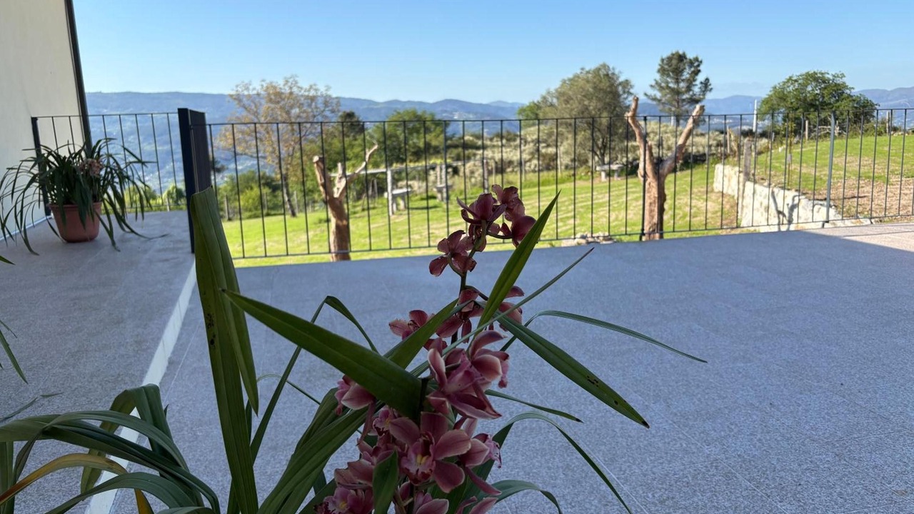 Photo of Outdoor in Lavradas