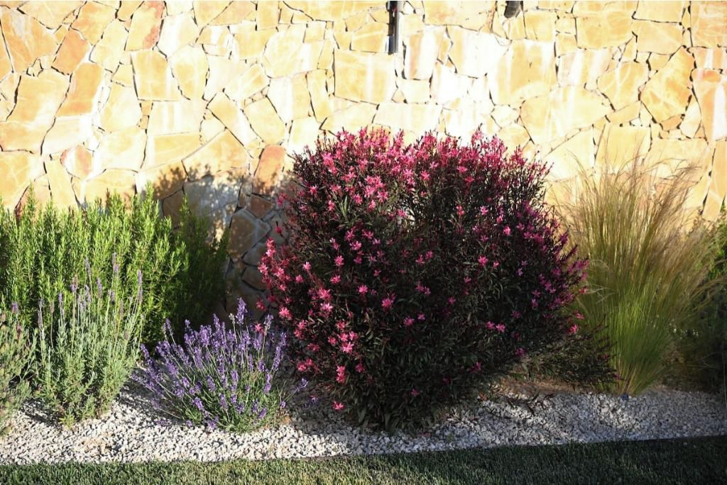 Photo of Outdoor in Loule
