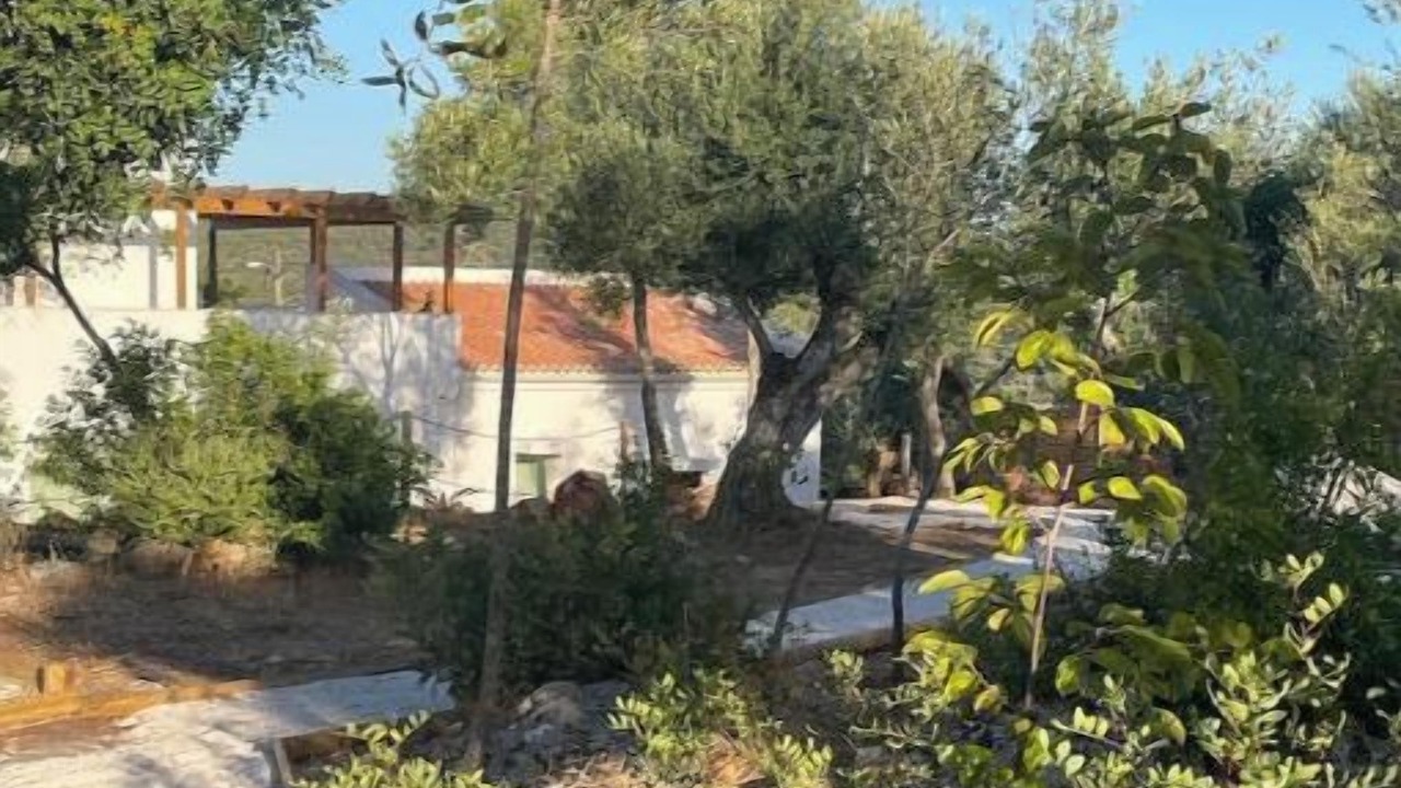 Photo of Outdoor in Loule