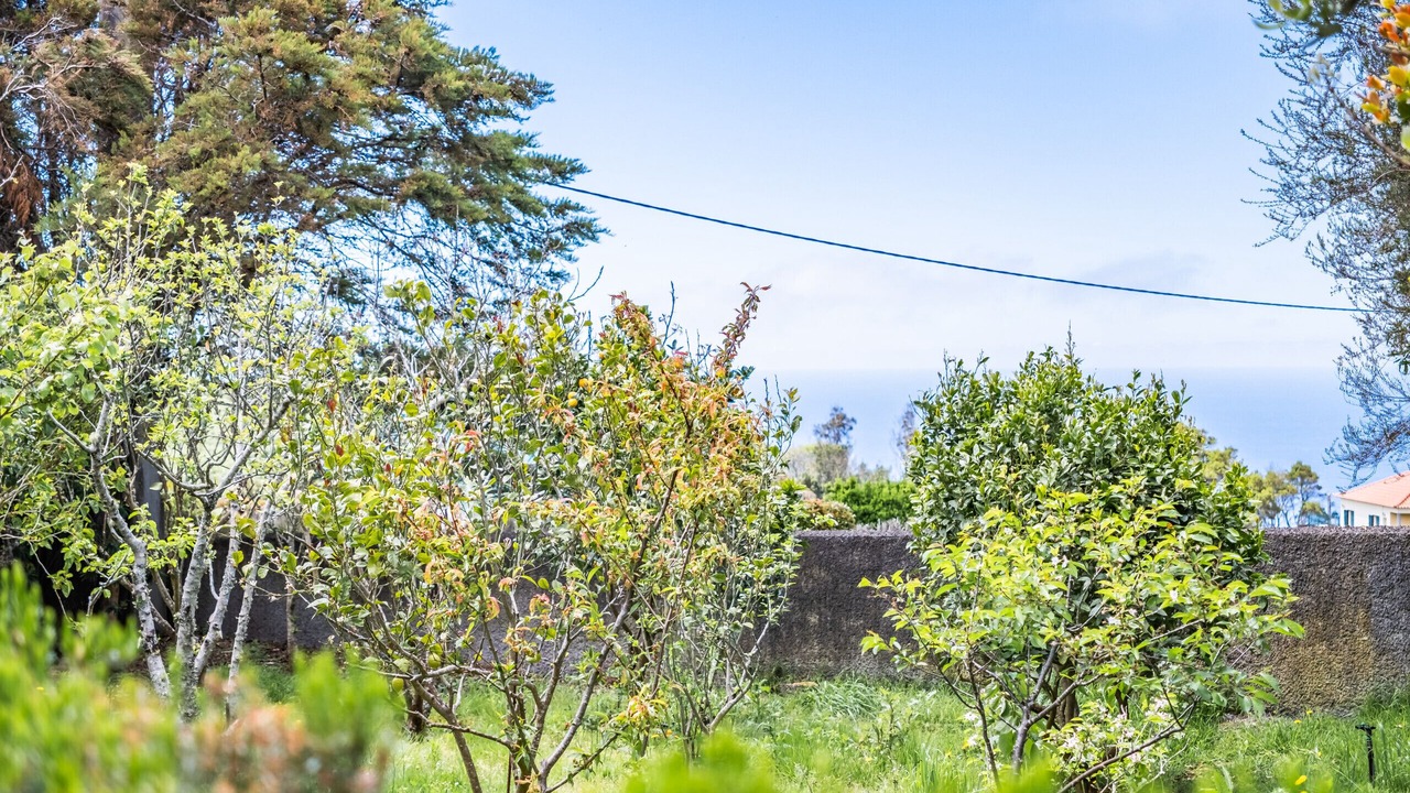 Photo of Outdoor in Porto Moniz