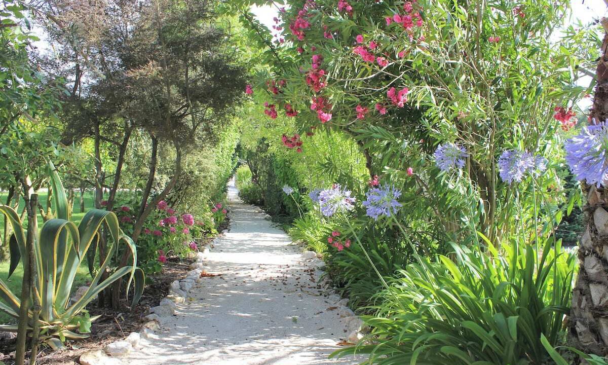 Photo of Outdoor in Tomar