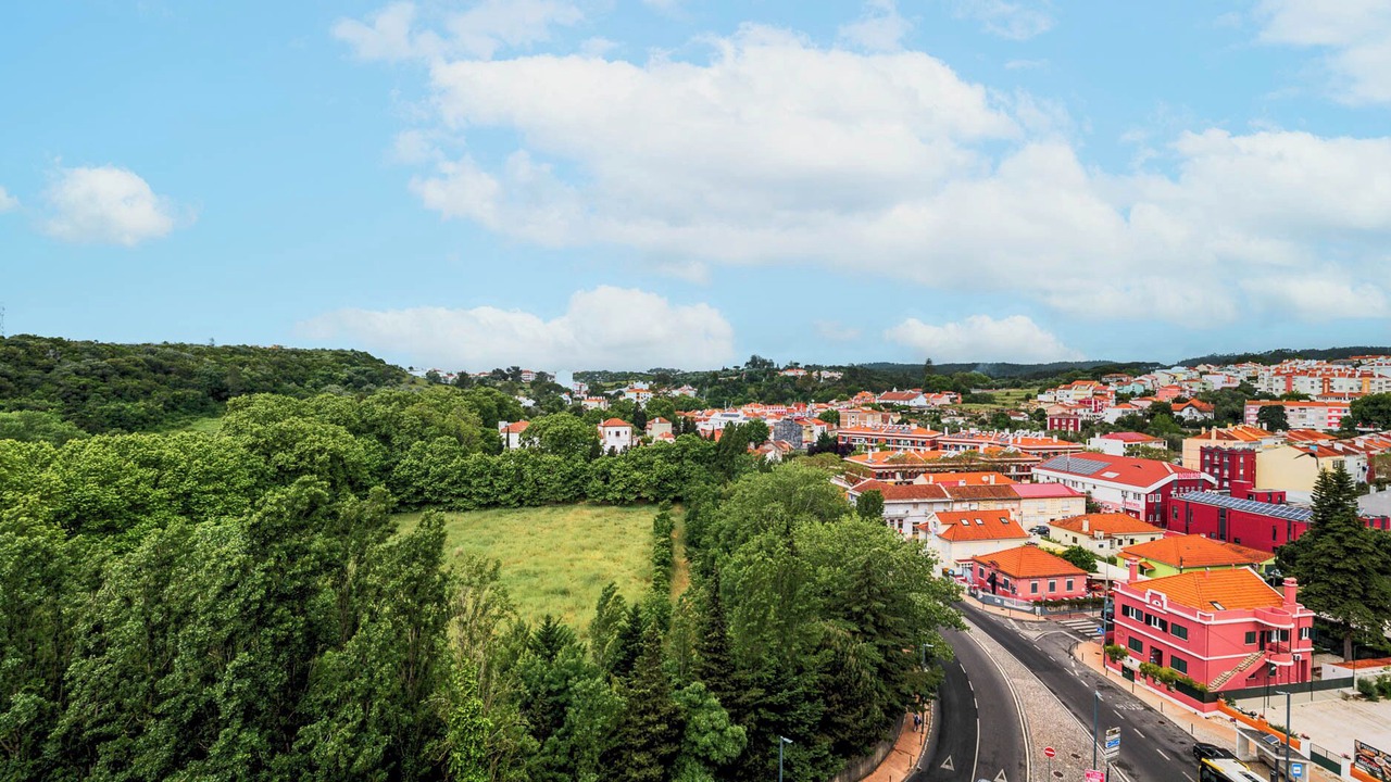 Photo of Others in Carvoeira
