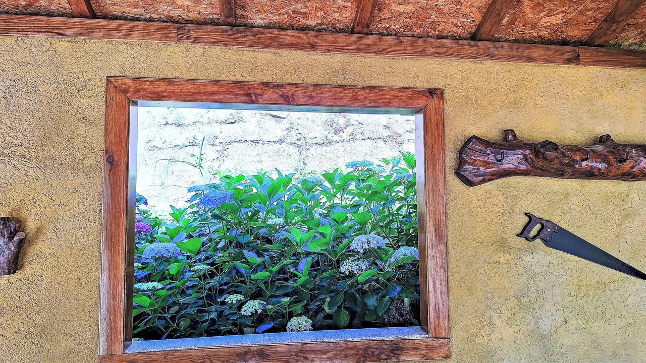 Photo of Others in Caldelas
