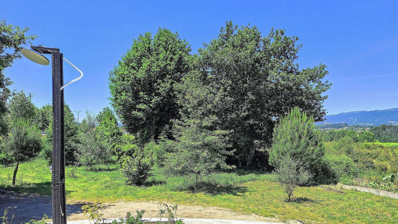 Photo of Others in Caldelas