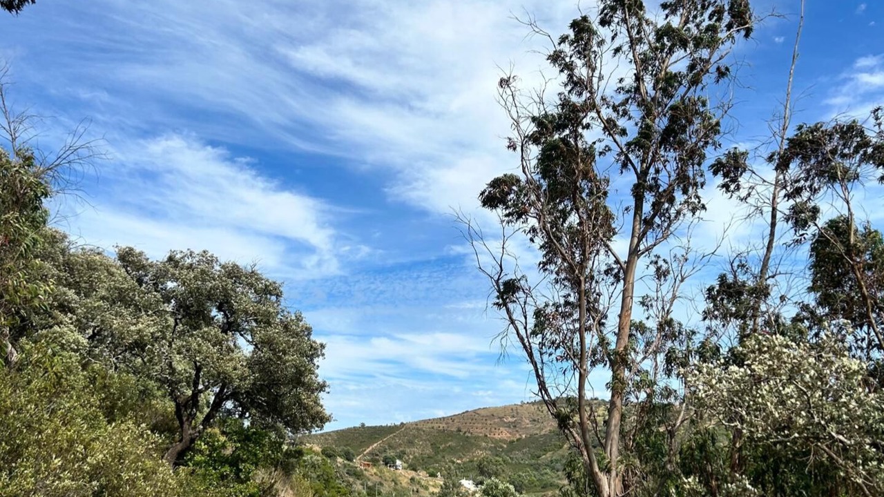 Photo of Others in Fonte do Bispo