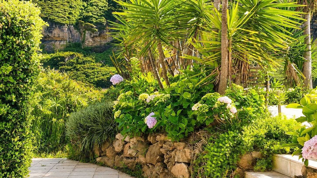 Photo of Outdoor in Ericeira