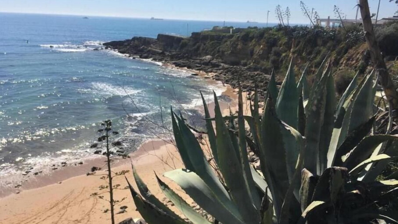 Photo of Others in Cascais