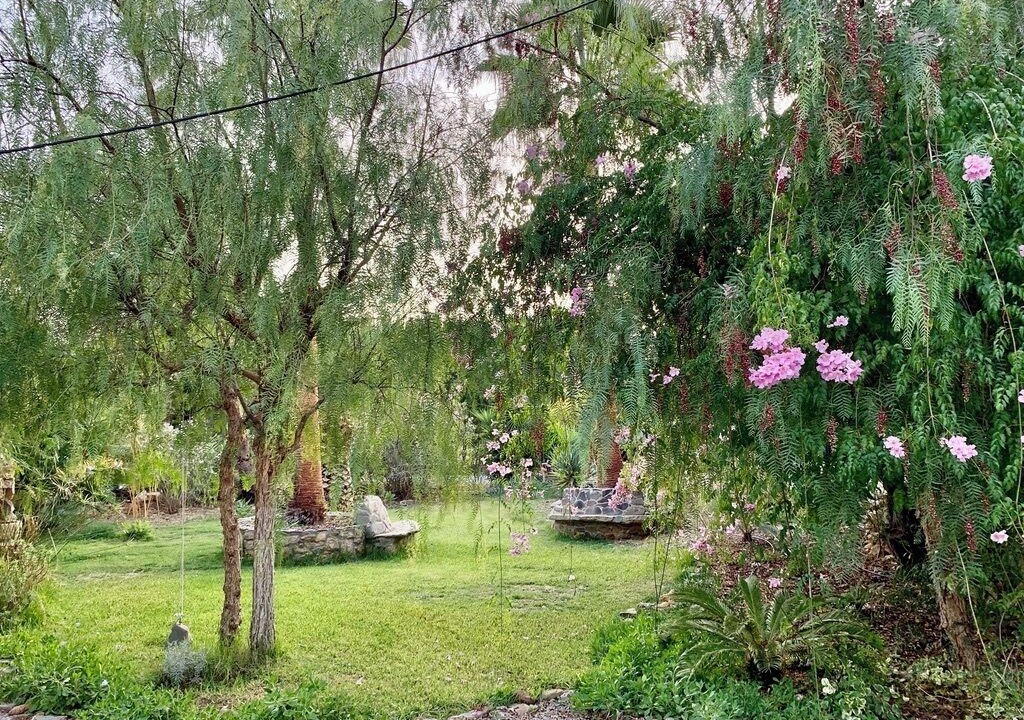 Photo of Outdoor in Moncarapacho e Fuseta
