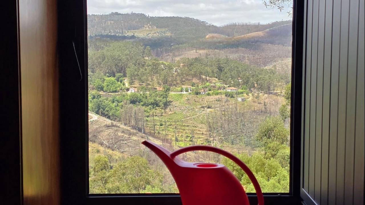 Photo of Others in Vinho