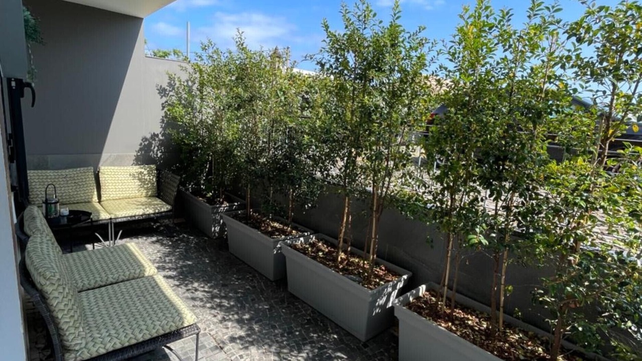 Photo of Patio Balcony in Santa Maria Maior