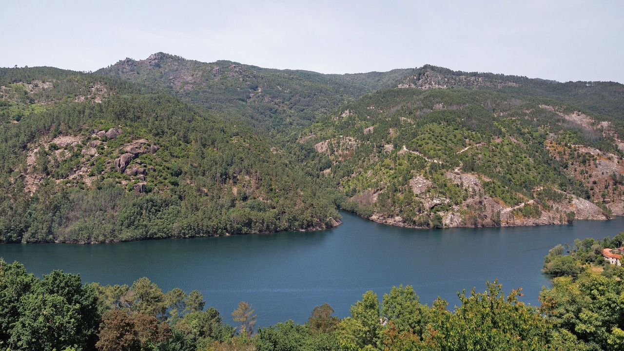 Photo of Others in Cova