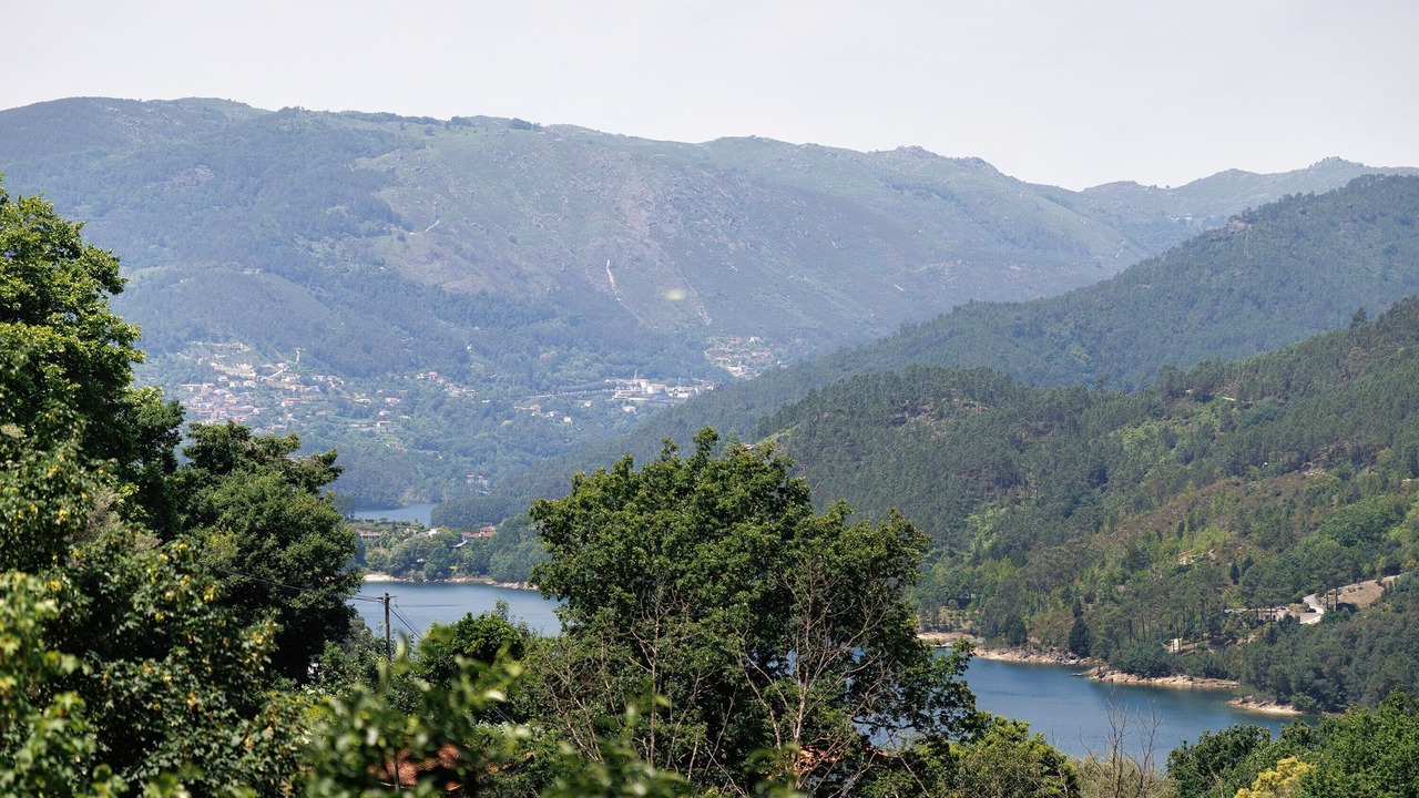 Photo of Others in Cova