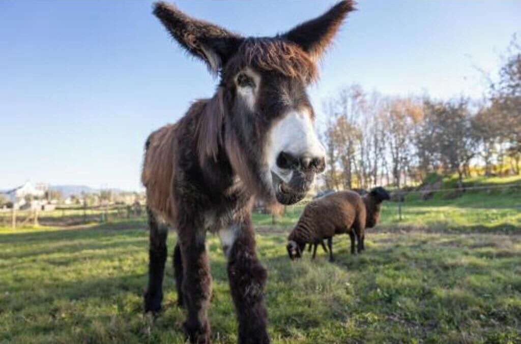 Photo of Others in Seia