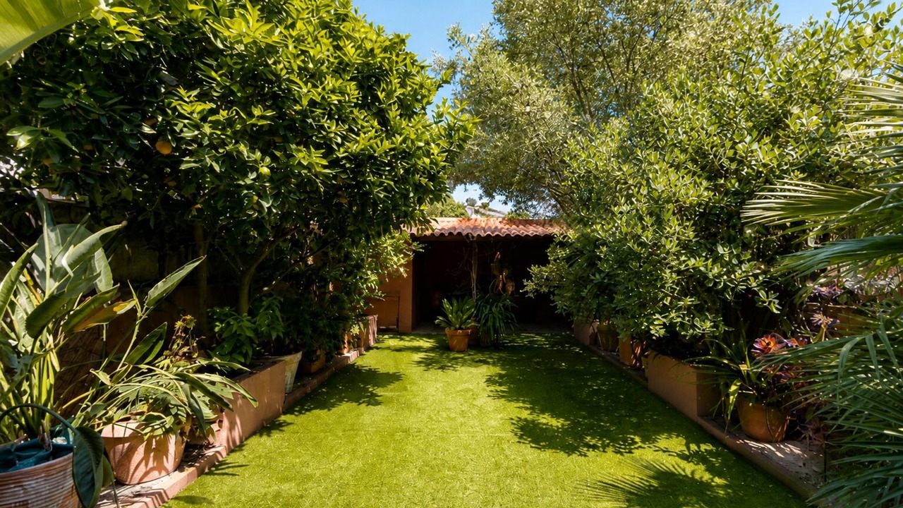 Photo of Outdoor in Bonfim