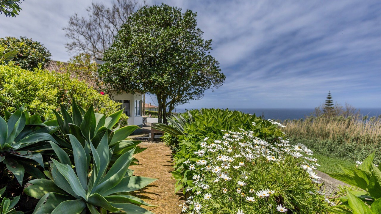 Photo of Outdoor in Mosteiros