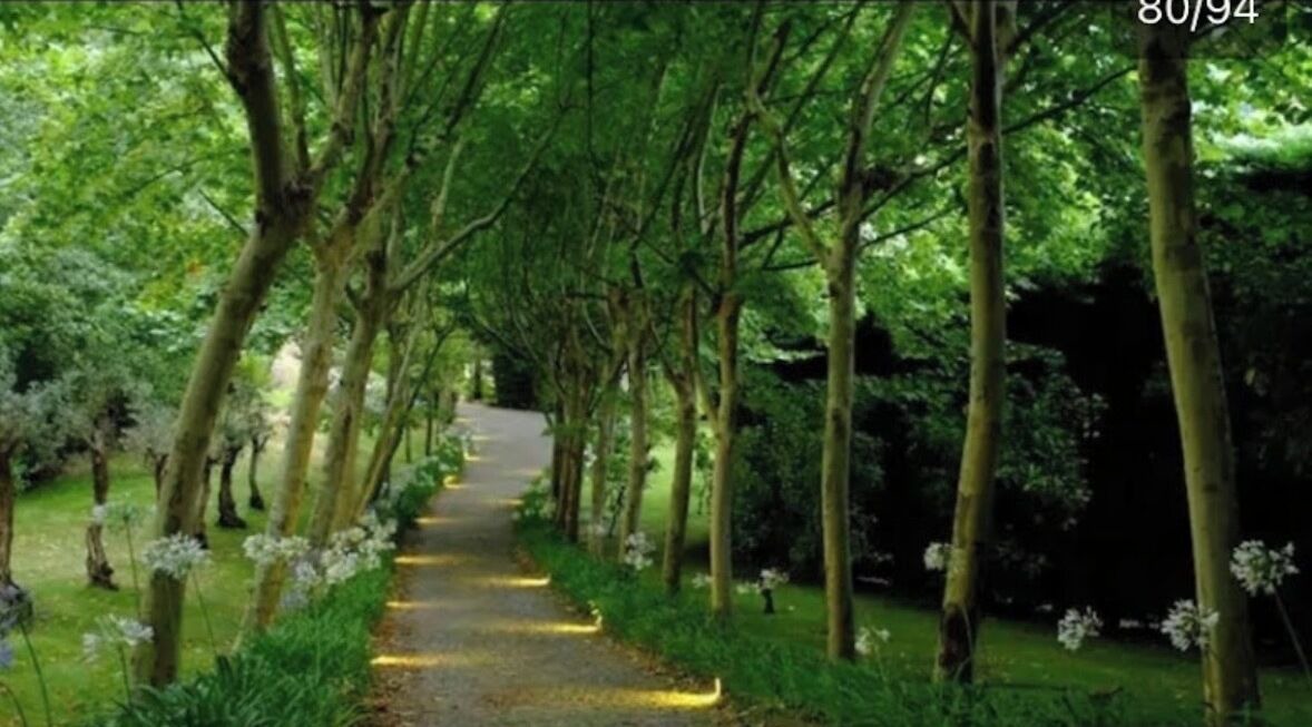 Photo of Outdoor in Santa Cruz do Douro