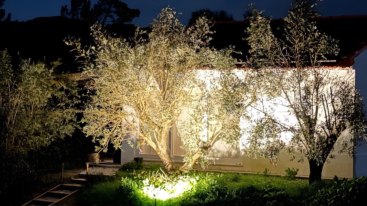 Photo of Outdoor in Coruche