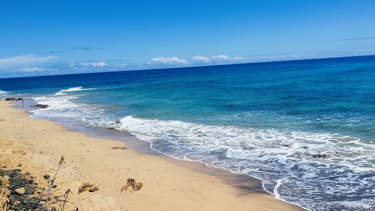Photo of Others in Porto Santo