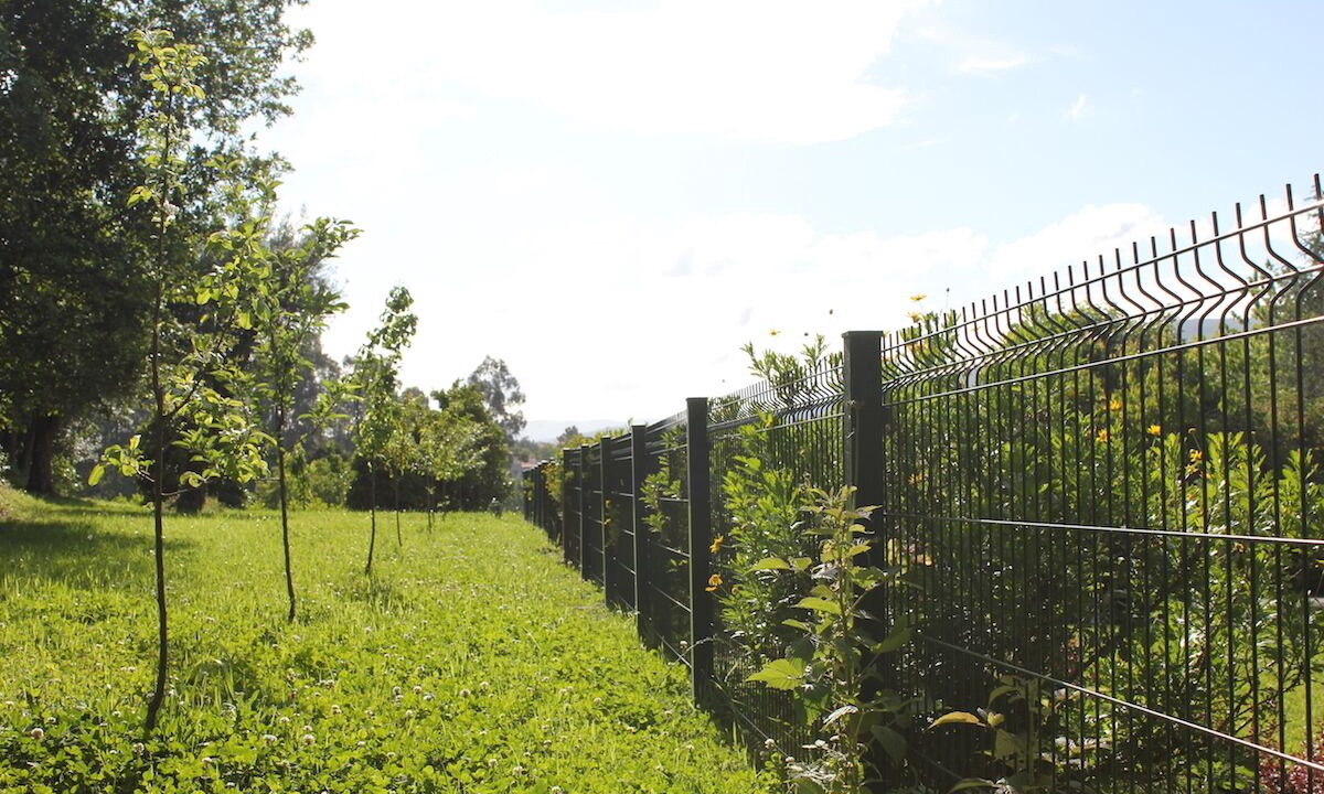 Photo of Outdoor in Refoios do Lima