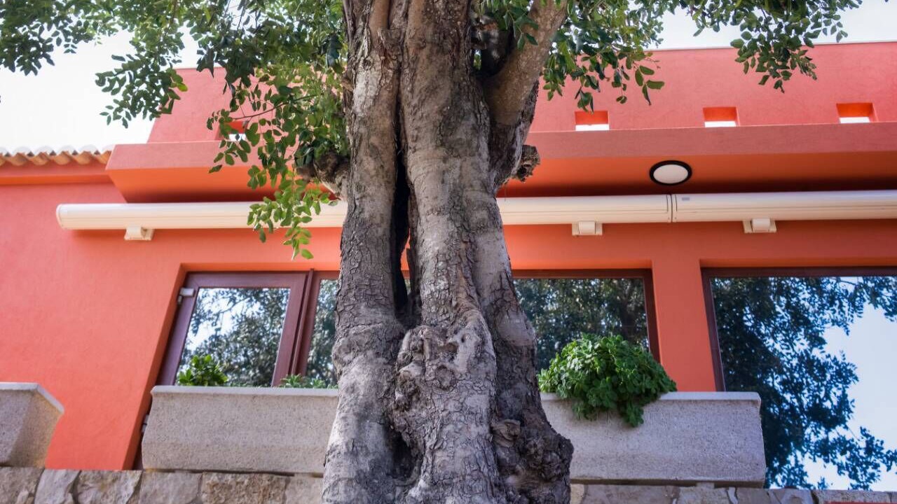 Photo of Outdoor in Aldeia dos Matos