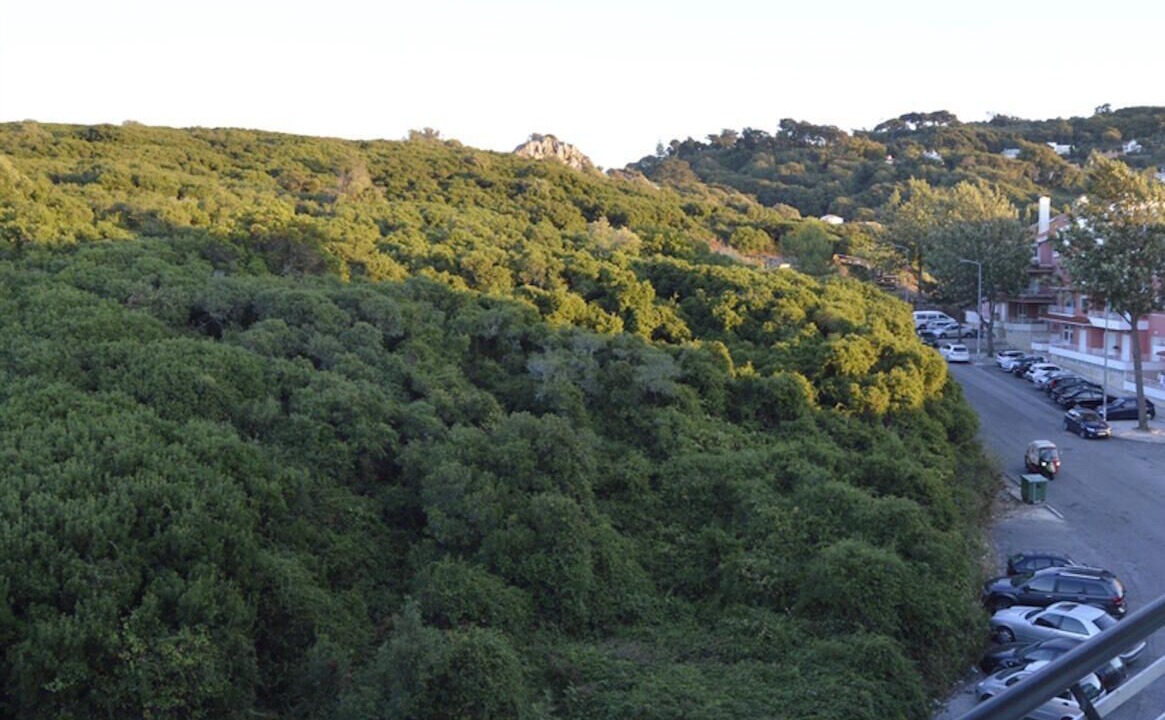 Photo of Outdoor in Sintra