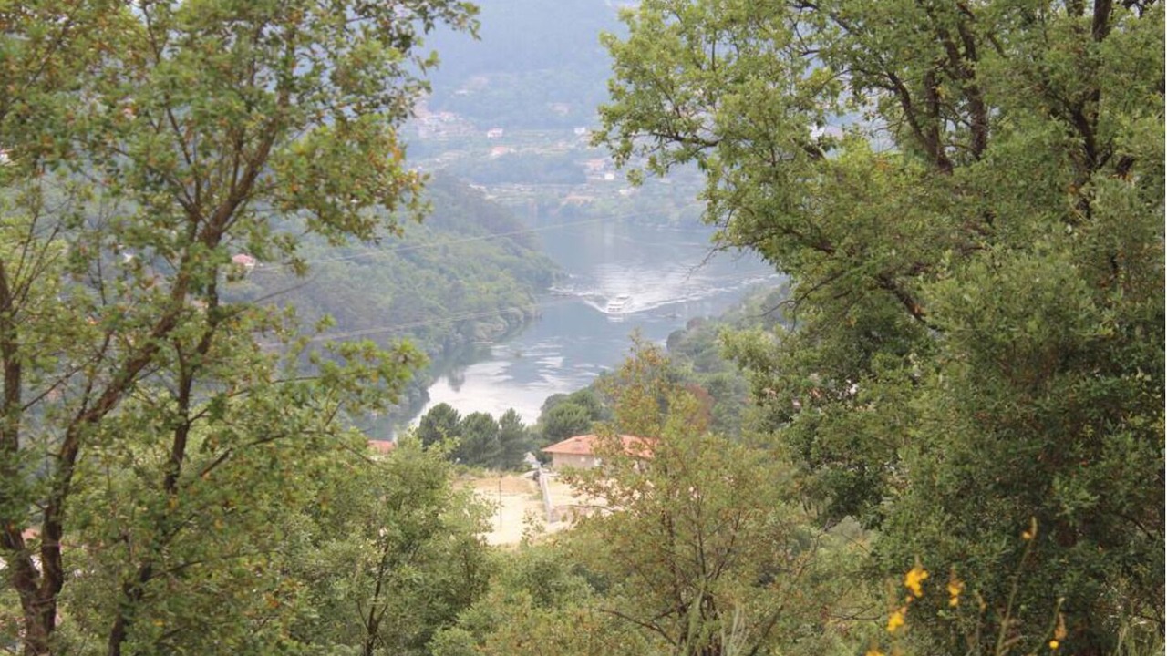 Photo of Others in Marco de Canaveses
